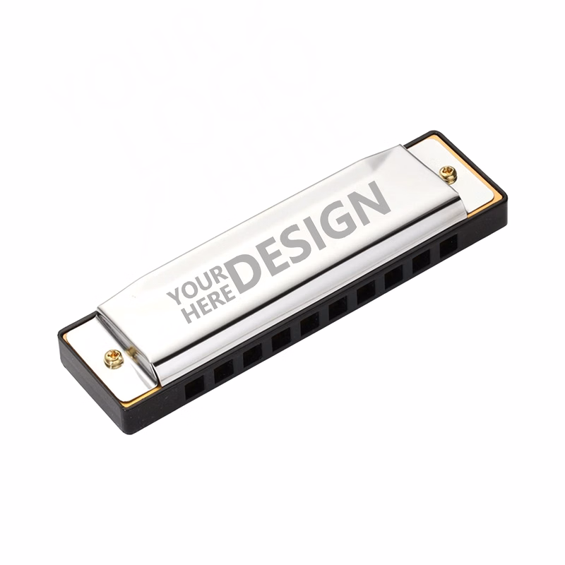10 - Hole Blues Harmonica