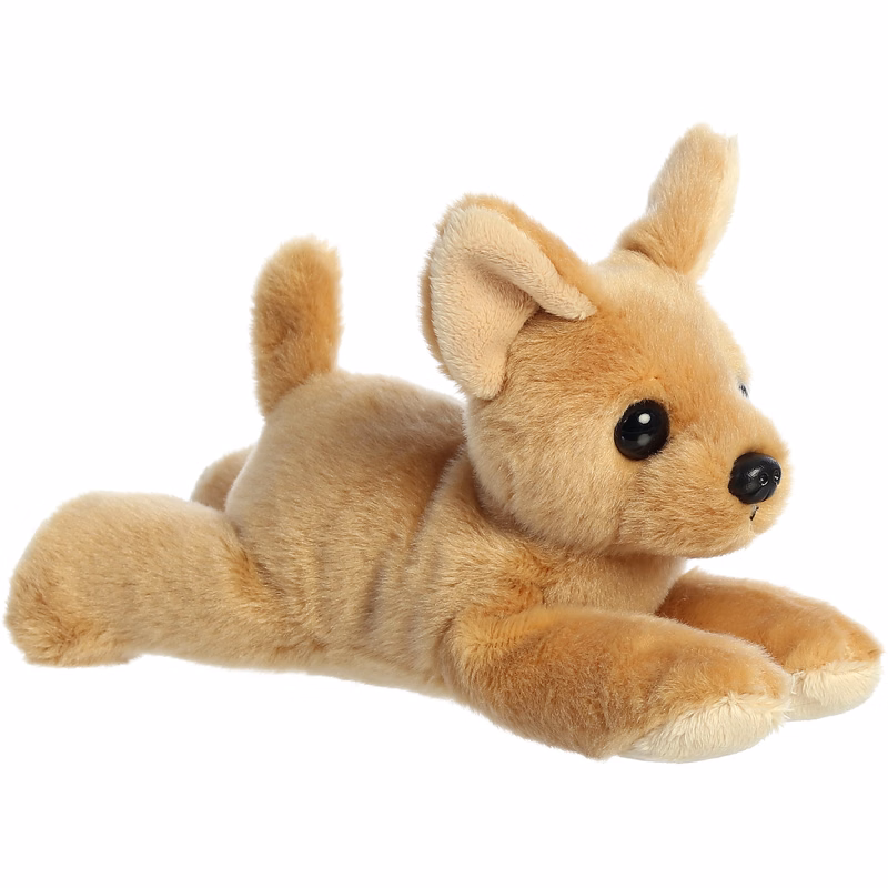 8" Chihuahua
