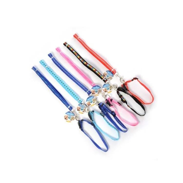 Dog Leashes & Collar Sets - Assorted Adjustable 1
