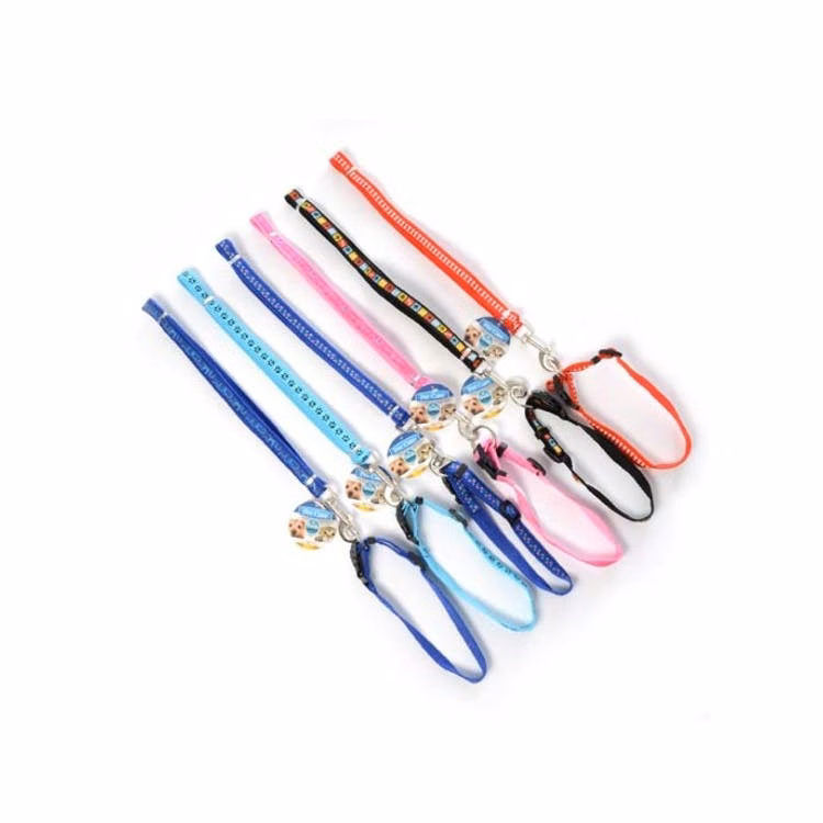 Dog Leashes & Collar Sets - Assorted Adjustable