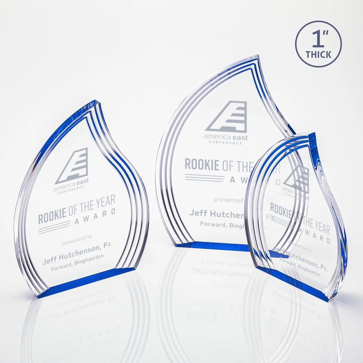 Tidworth Award - Clear Blue Right 1