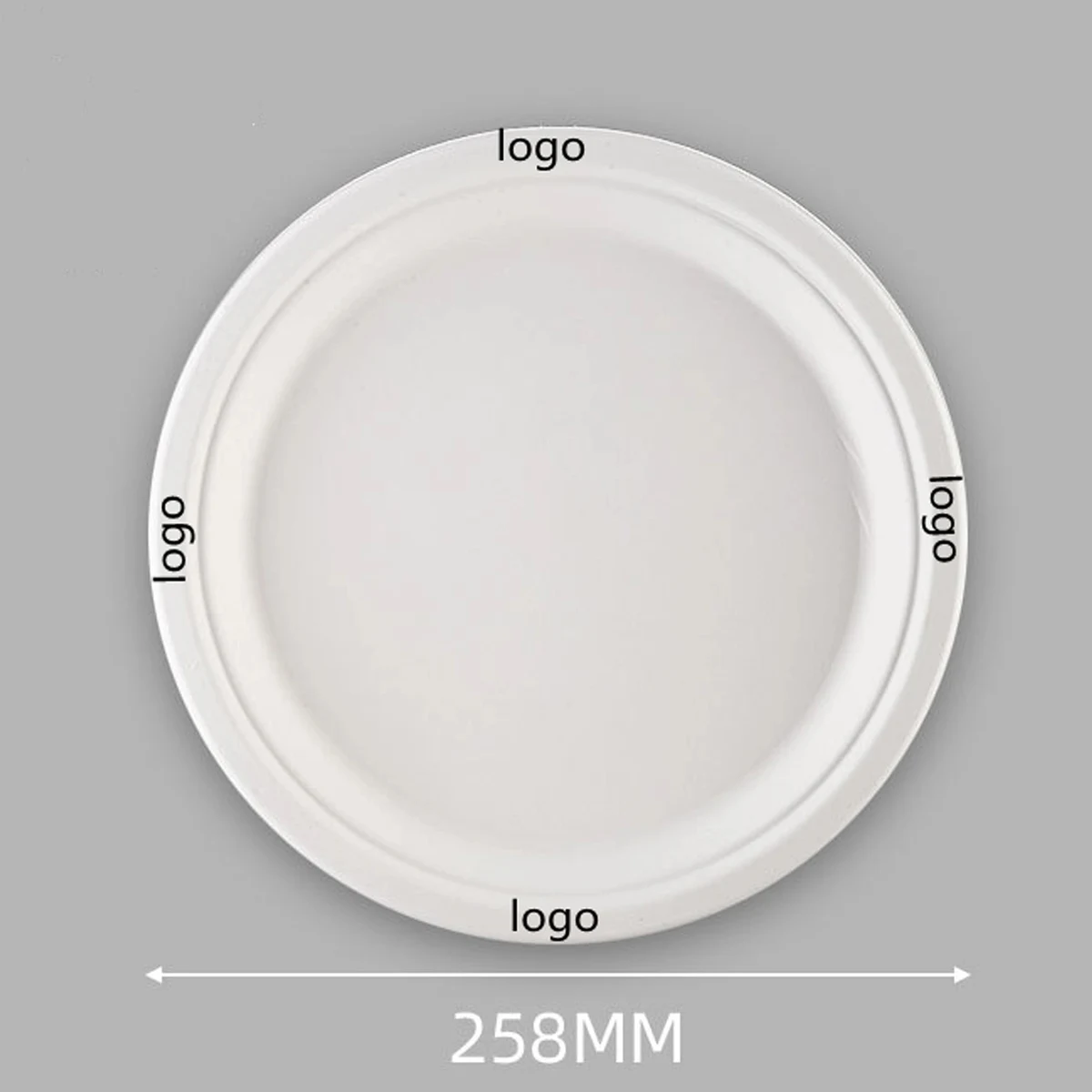 10" Disposable Paper Plates Eco-Friendly 1