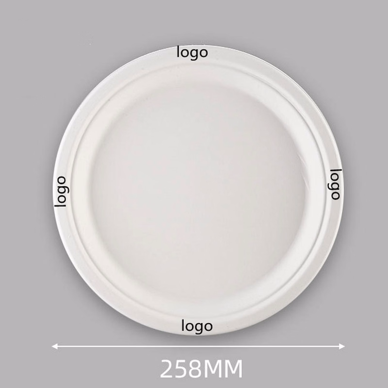 10" Disposable Paper Plates Eco-Friendly