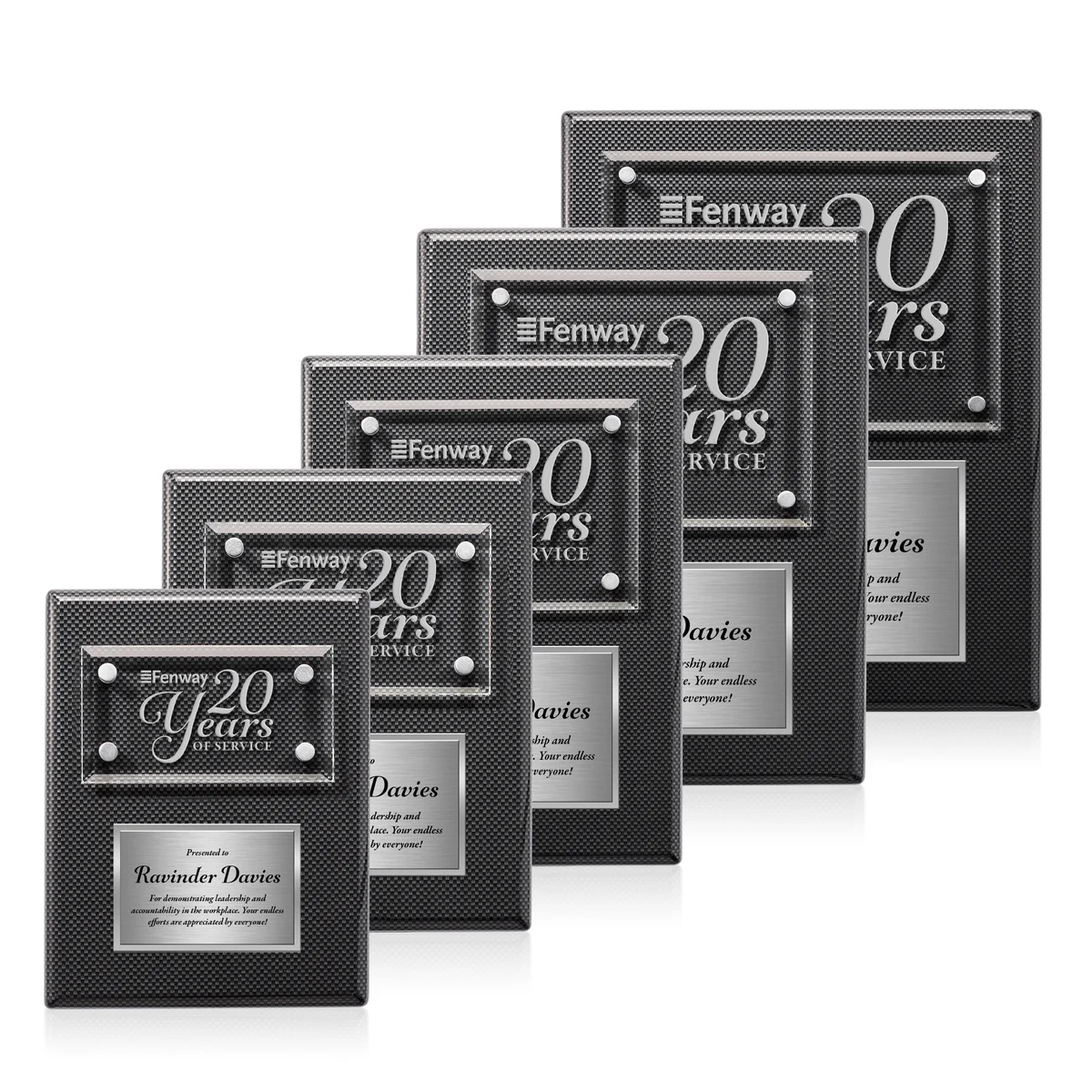 Gossamer Plaque - Carbon Fibre/Silver 1