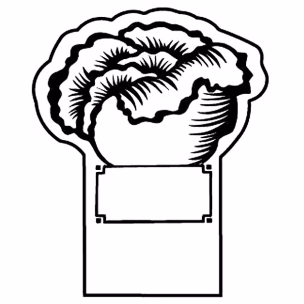 Magnet - Lettuce Head - Full Color