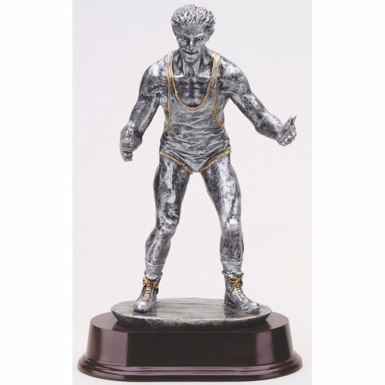 9 1/2" Tall Wrestling Male Figure Award