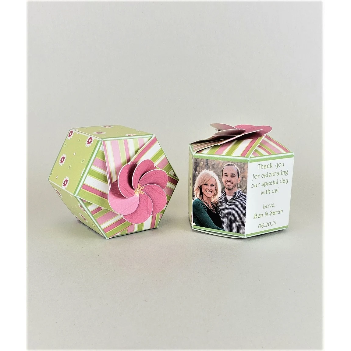 Five Spot Houseplant - SeedGems Paper Planter - Biodegradable grow kit 1