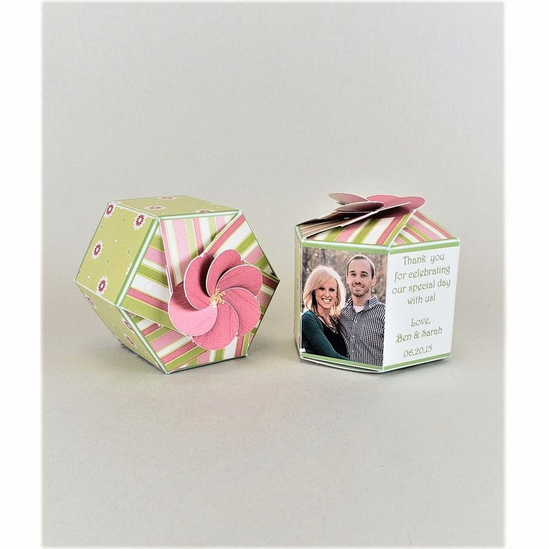 Five Spot Houseplant - SeedGems Paper Planter - Biodegradable grow kit