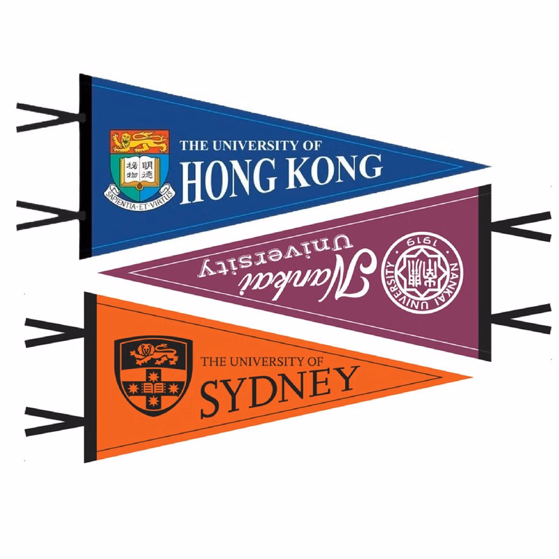 17.7"x7.9" Full Color Single Sided Felt Flag