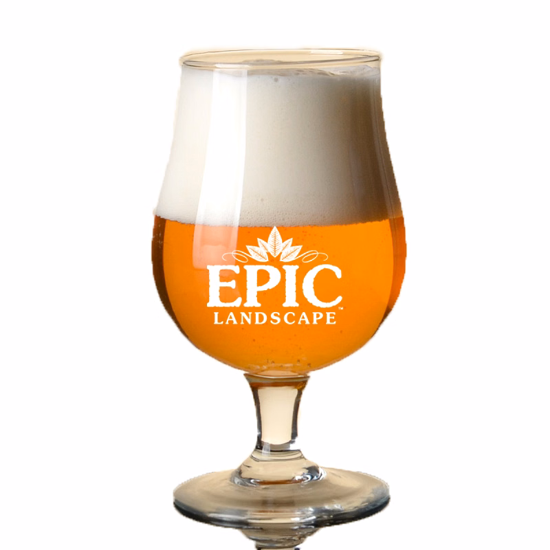 16oz Classic Beer Glass Tulip-shaped Glass