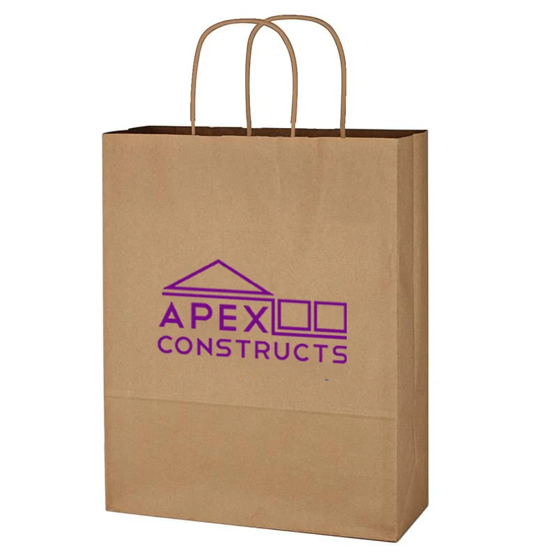 10" x 13" Kraft Paper Bag 1