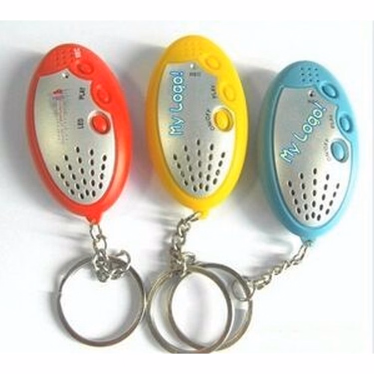 Recorder Key Chain W/ LED Flashlight