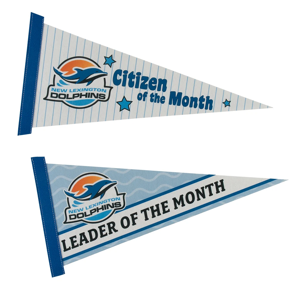 8" x 18" Full Color Felt Pennant 1