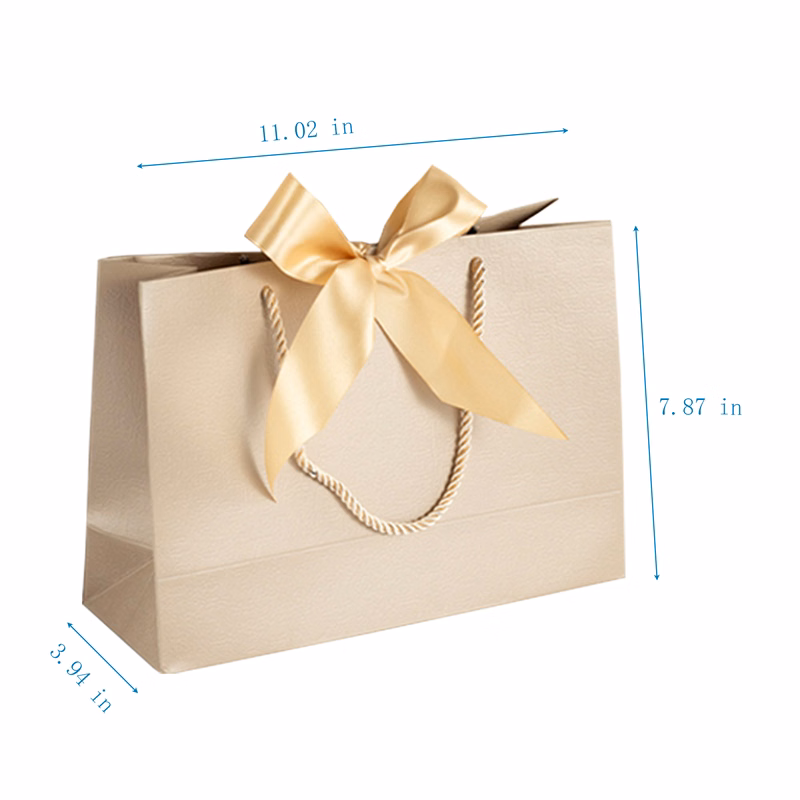Stylish Paper Bag With Ribbon For Birthdays And Showers