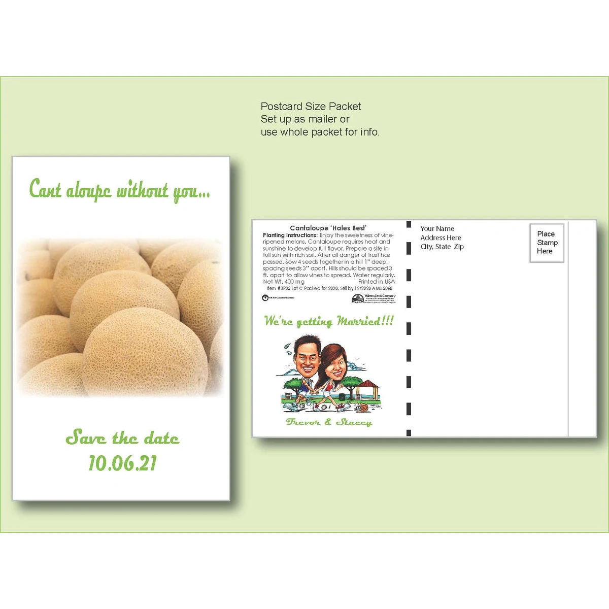 Organic Cantaloupe 'Honey Rock' Seed Packet - Postcard Mailer Size 4" x 6.5" 1