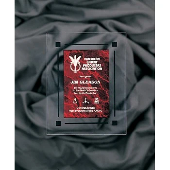 7" x 9" Red Marble Acrylic Clear-Plaq Award 1