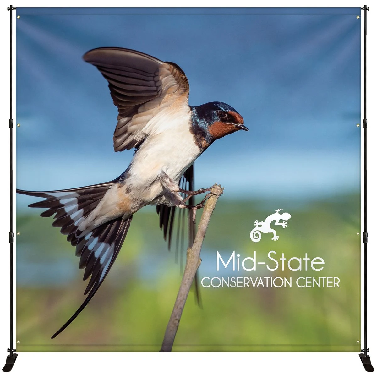 10' x 10' Premium Backdrop Banner Wall Kit 1