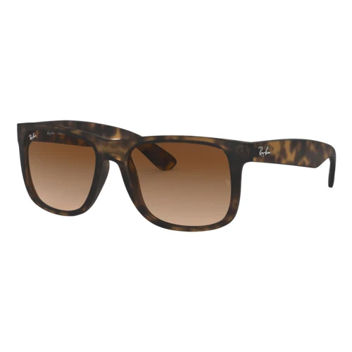 Ray-Ban Justin Classic Sunglasses 1