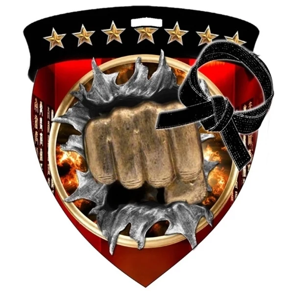 Color Burst Medals/Martial Arts 1