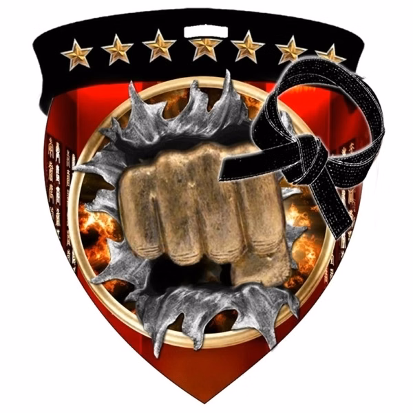 Color Burst Medals/Martial Arts