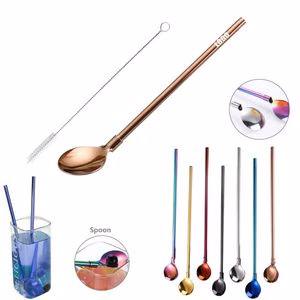 Reusable Stainless Steel Straw And Spoon Set