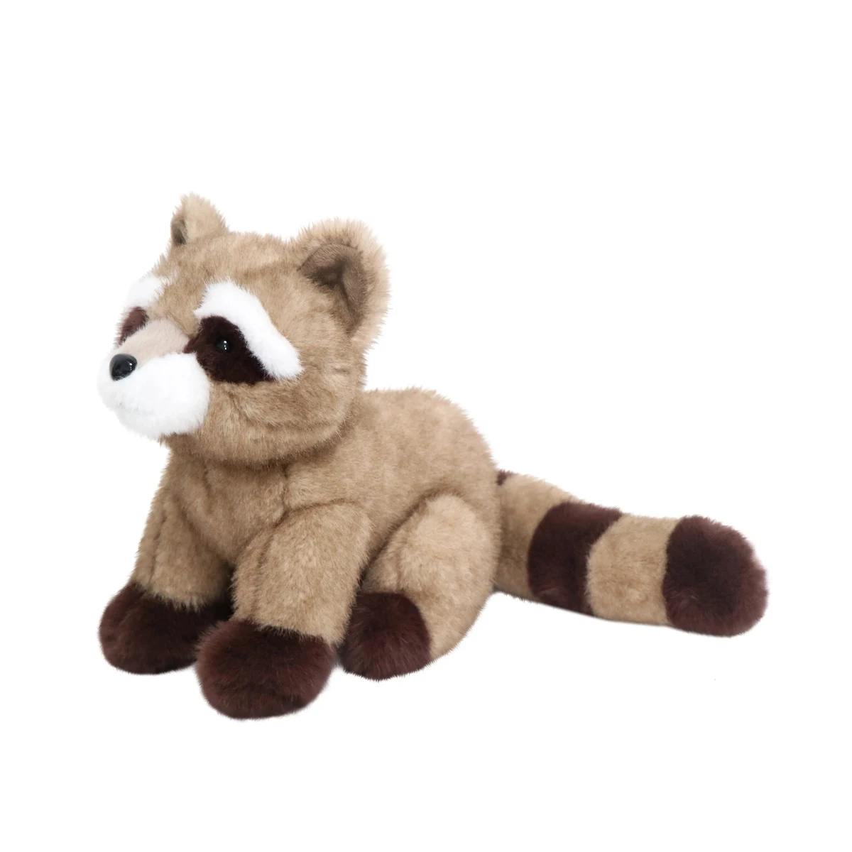 Racoon 1