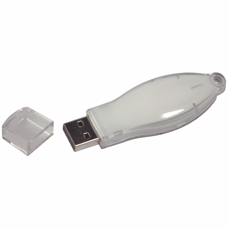 1490FMS - Flash Memory Drive V2.0