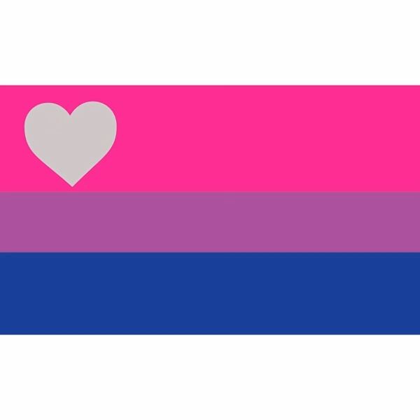 Biromantic Premium Car Flag