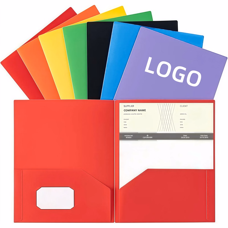 MOQ Plastic Folder with Pocket for Office High School