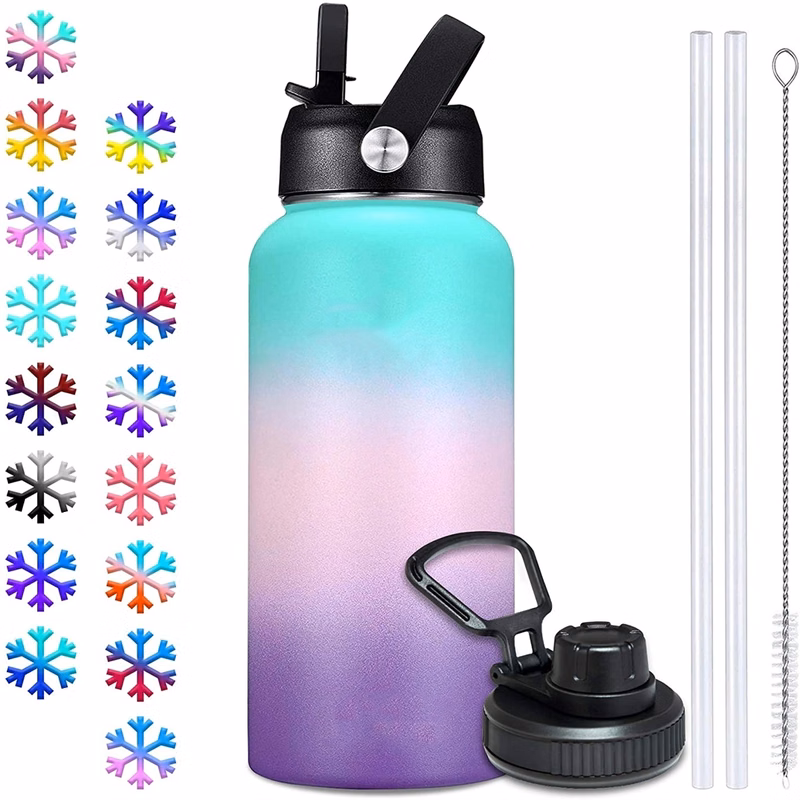 Vacuum Insulated Metal Water Bottle with Straw & Spout Lids