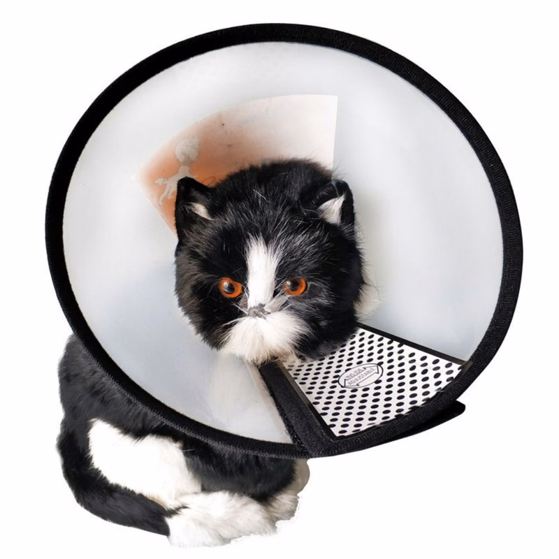 Anti-lick And Bite Pet Collar