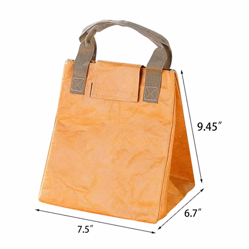 Reusable Dupont Paper Lunch Bag