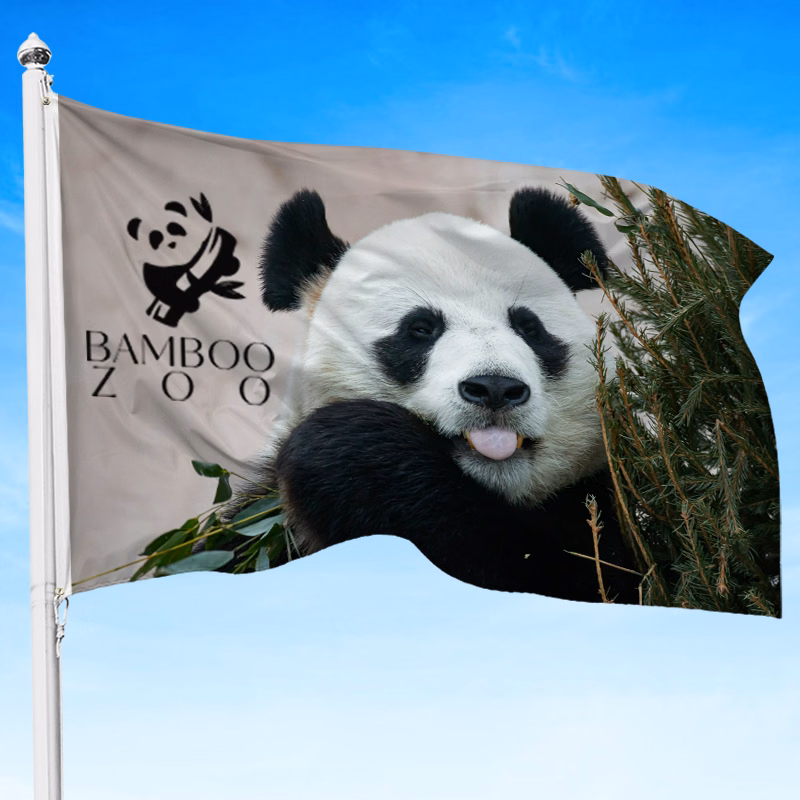 Full Color Pole Flag, 2' x 3'