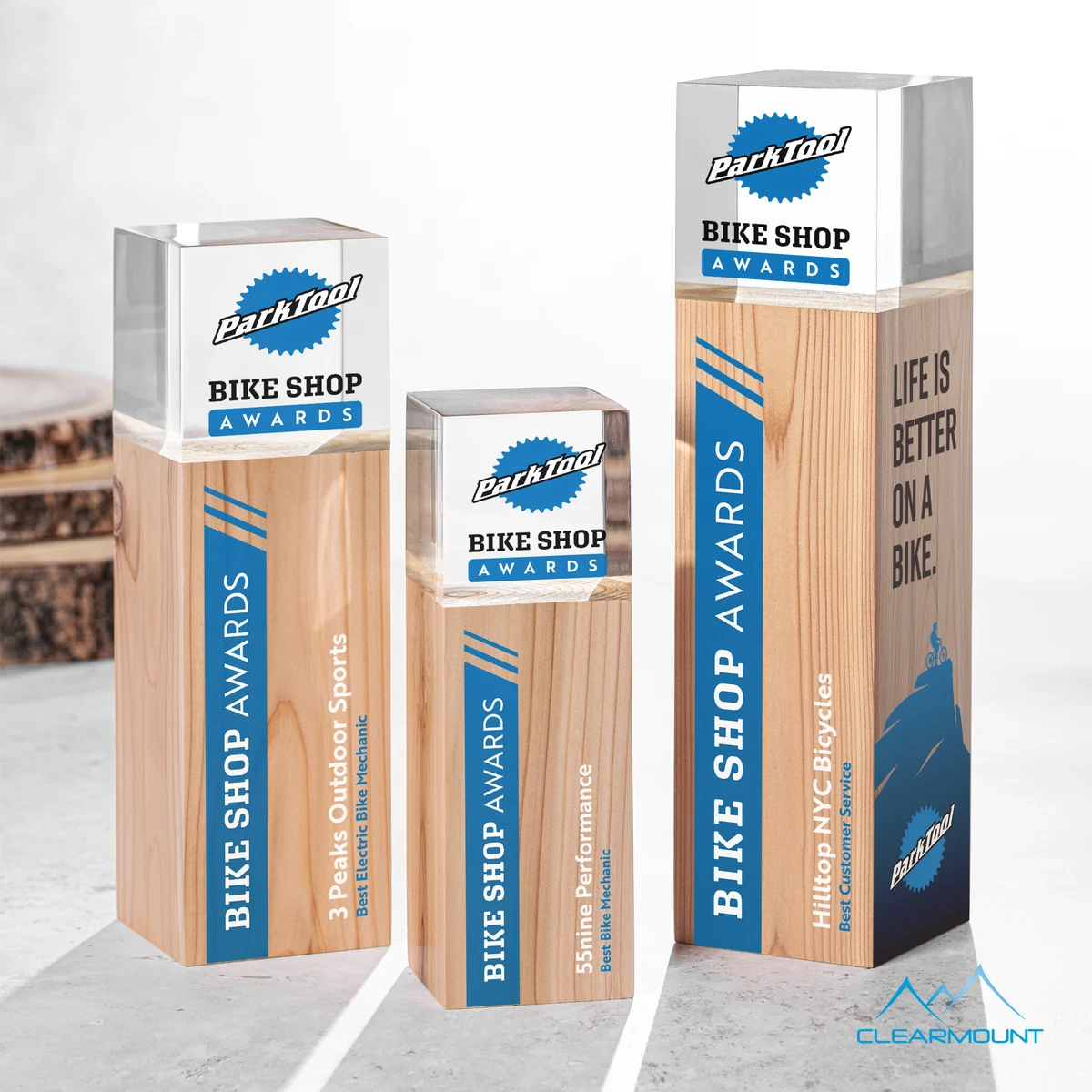 Branche VividPrint™ Award 1