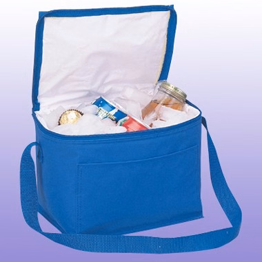 VINYL 6 PACK ICE CHEST COOLER