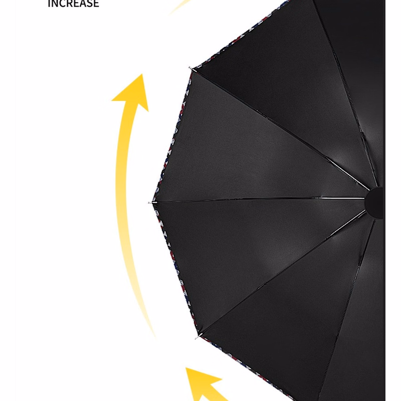 Rain and sunny business umbrella
