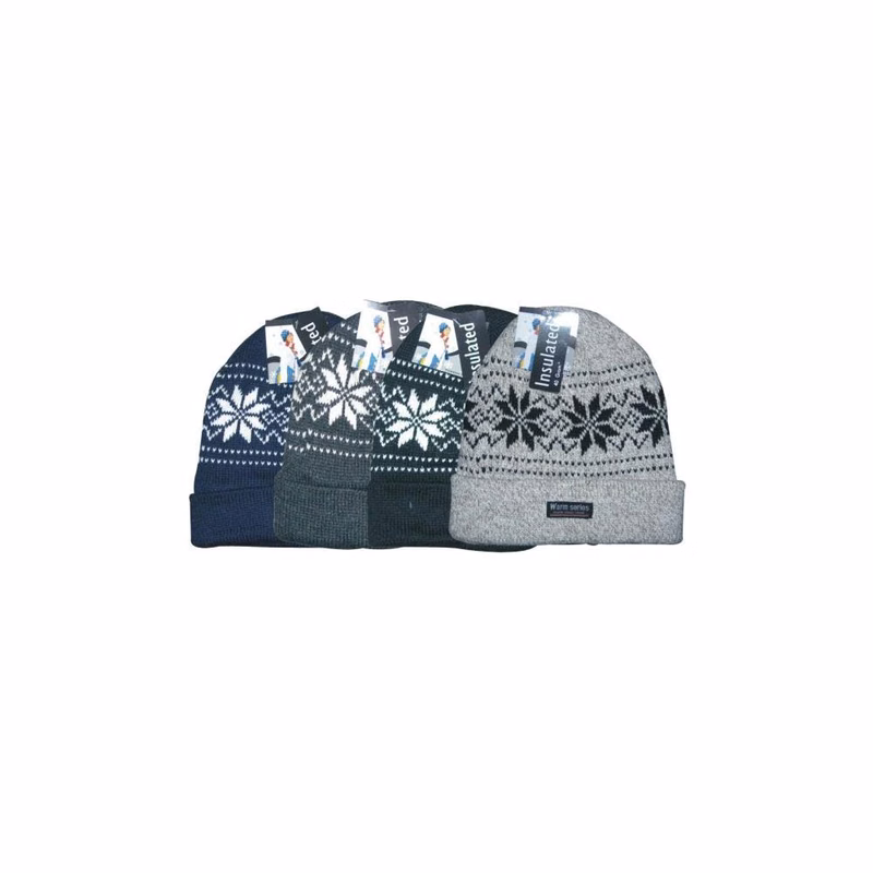 Cuffed Ski Hats Assorted One Size
