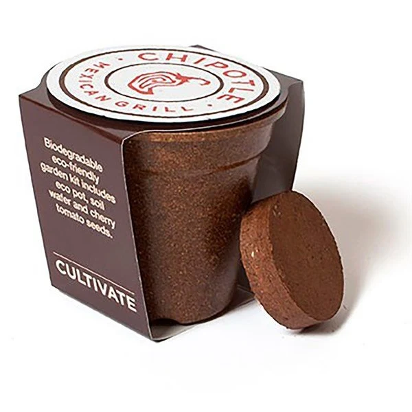 Medallion Flower Planting Kit 1