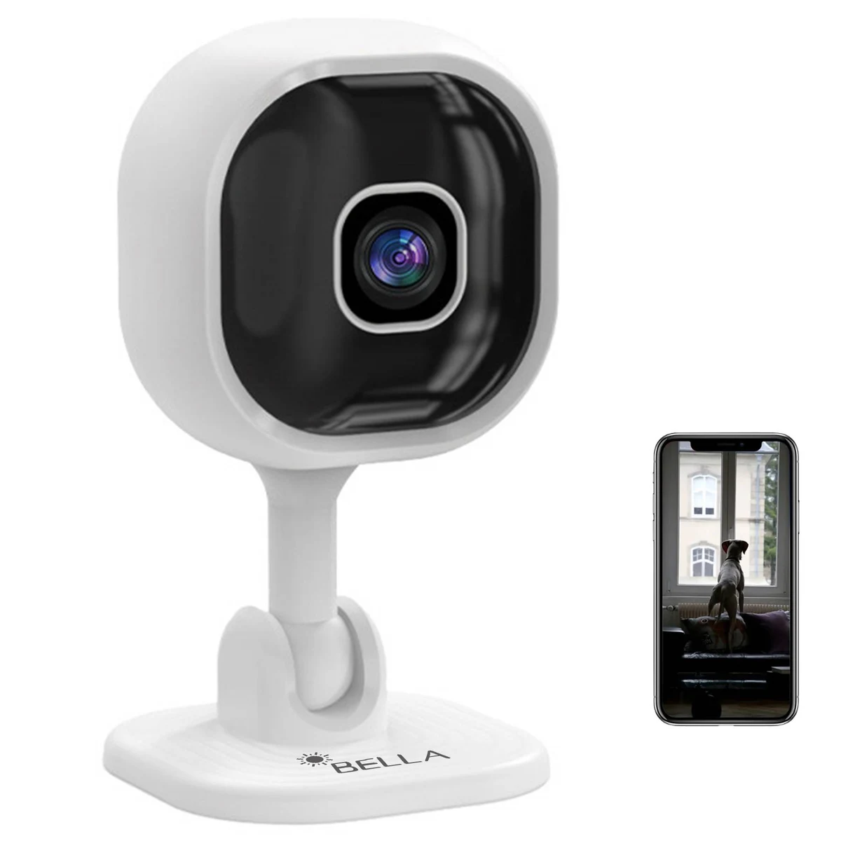 Indoor Camera with Motion Detection 1
