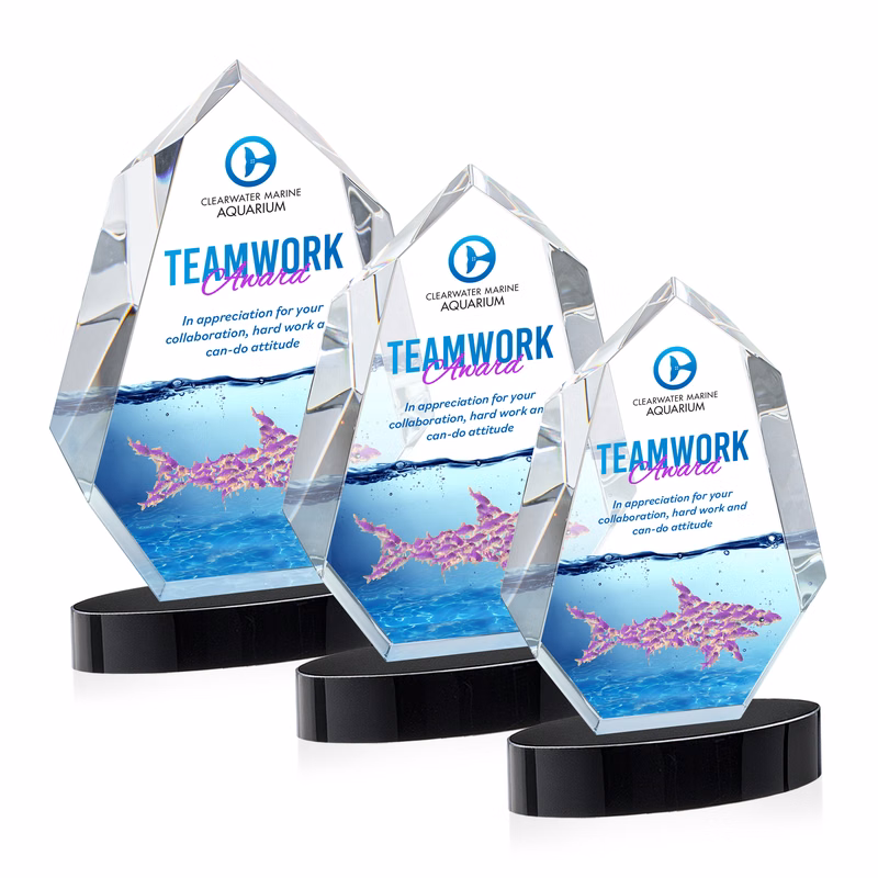 Norwood VividPrint™ Award on Alberton Base - Black