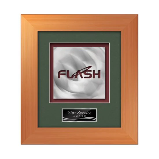 Premier Aquashape™ Award - Bronze 1