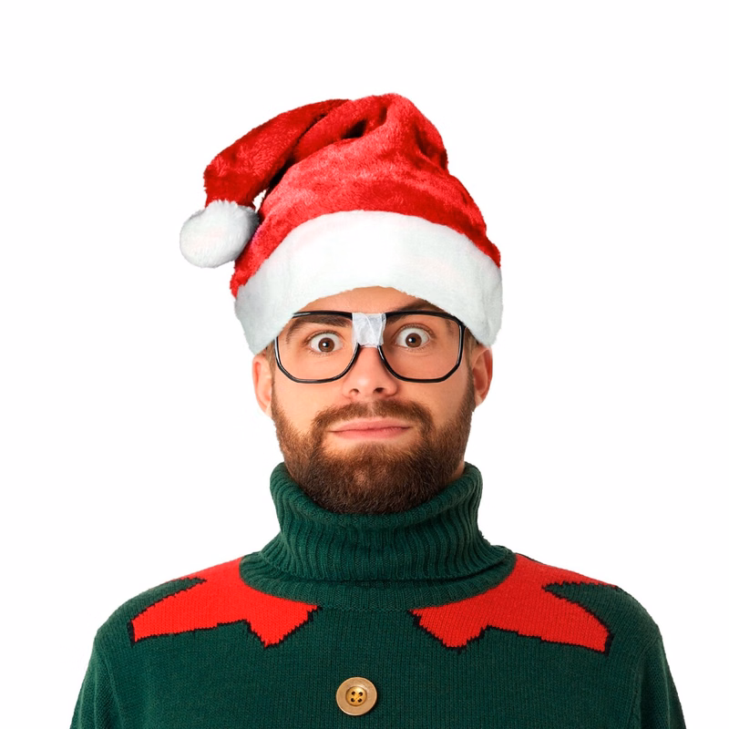 Adult Santa Plush Hat