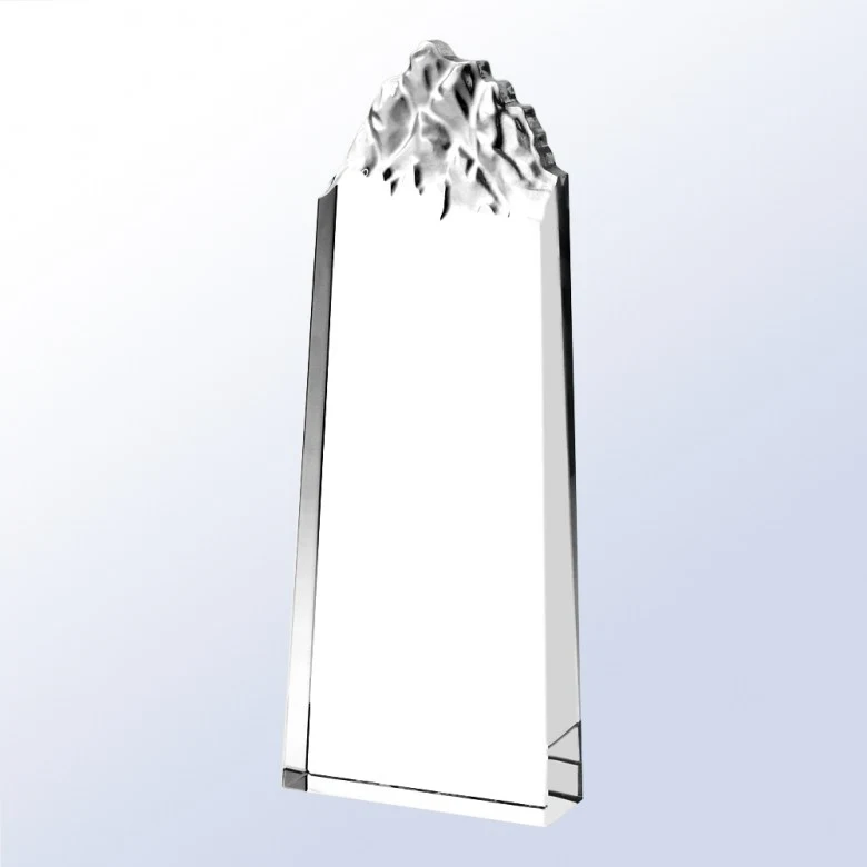 Leeward Crystal Award 1
