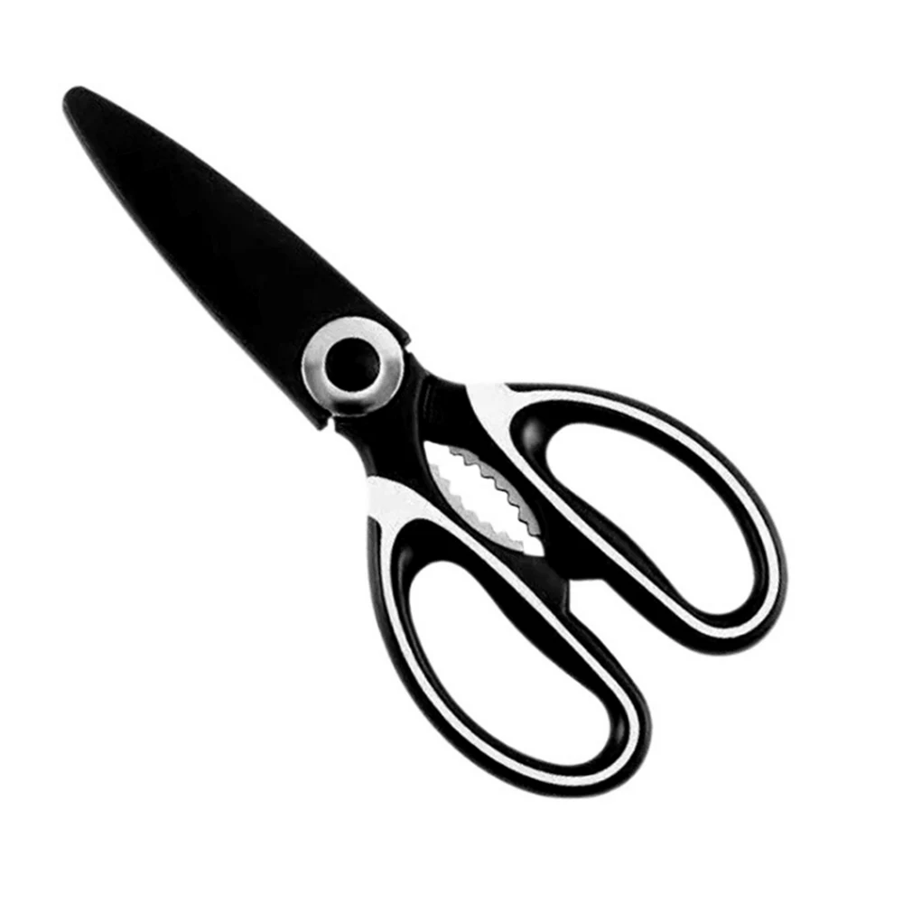 Stainless Steel Shears 1