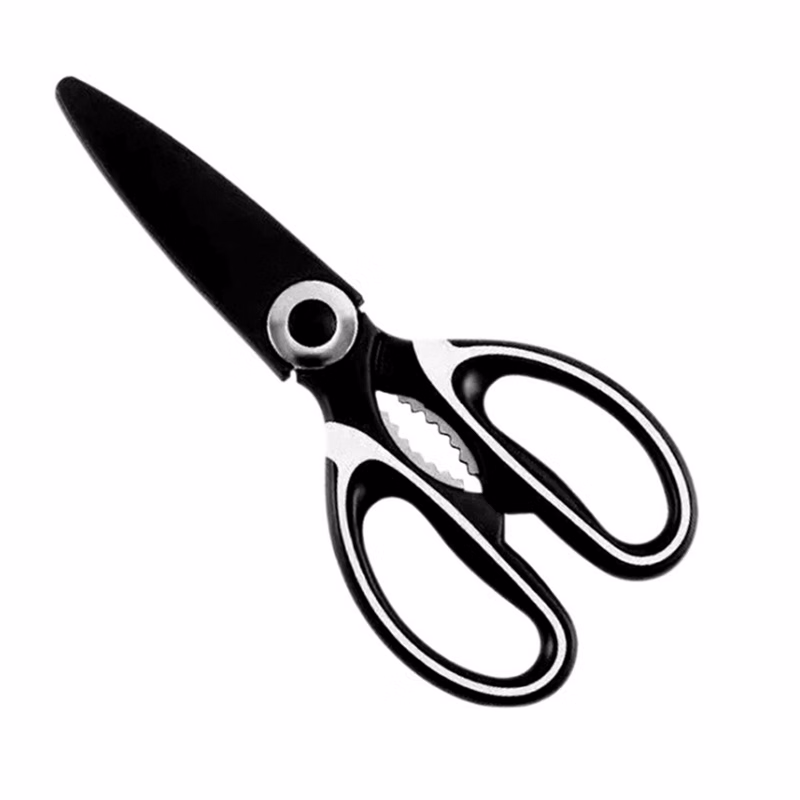 Stainless Steel Shears