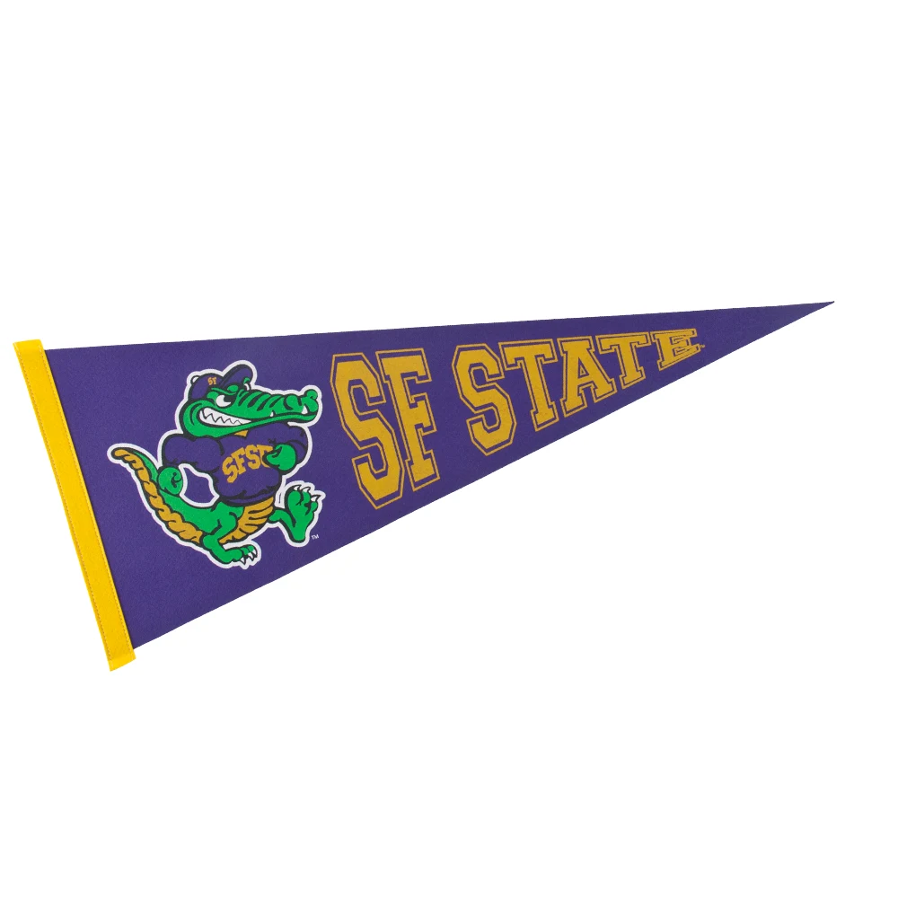 12" x 30" Colored Felt Pennant 1
