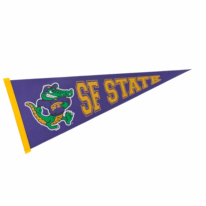 12" x 30" Colored Felt Pennant