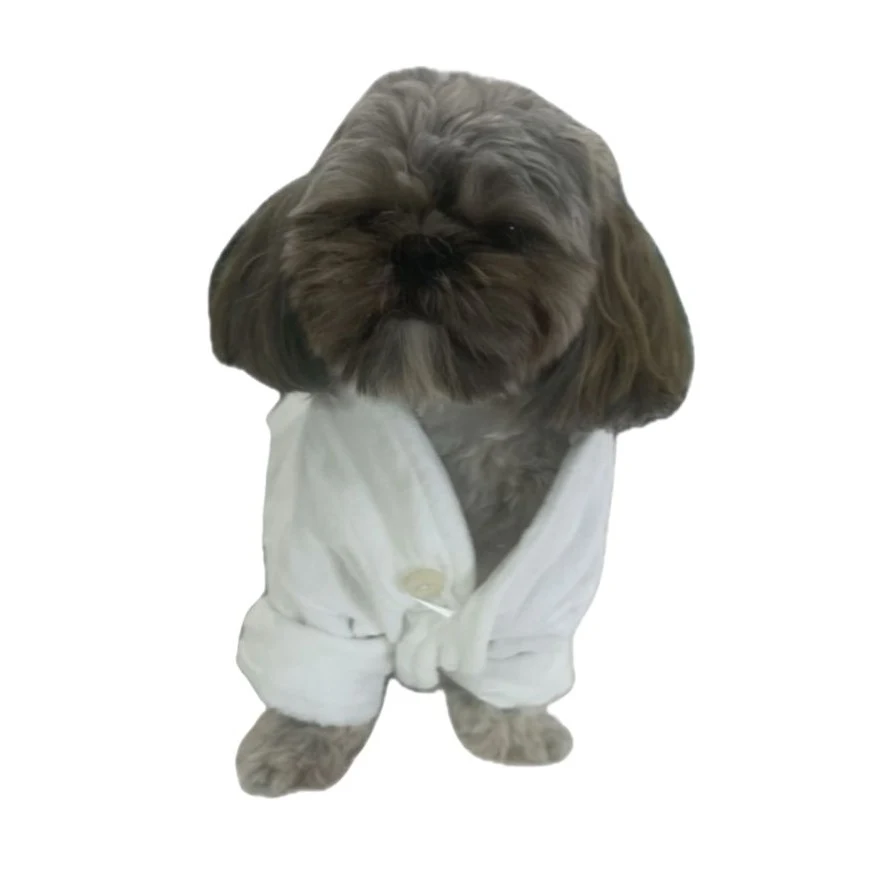 Dog Bathrobe 1