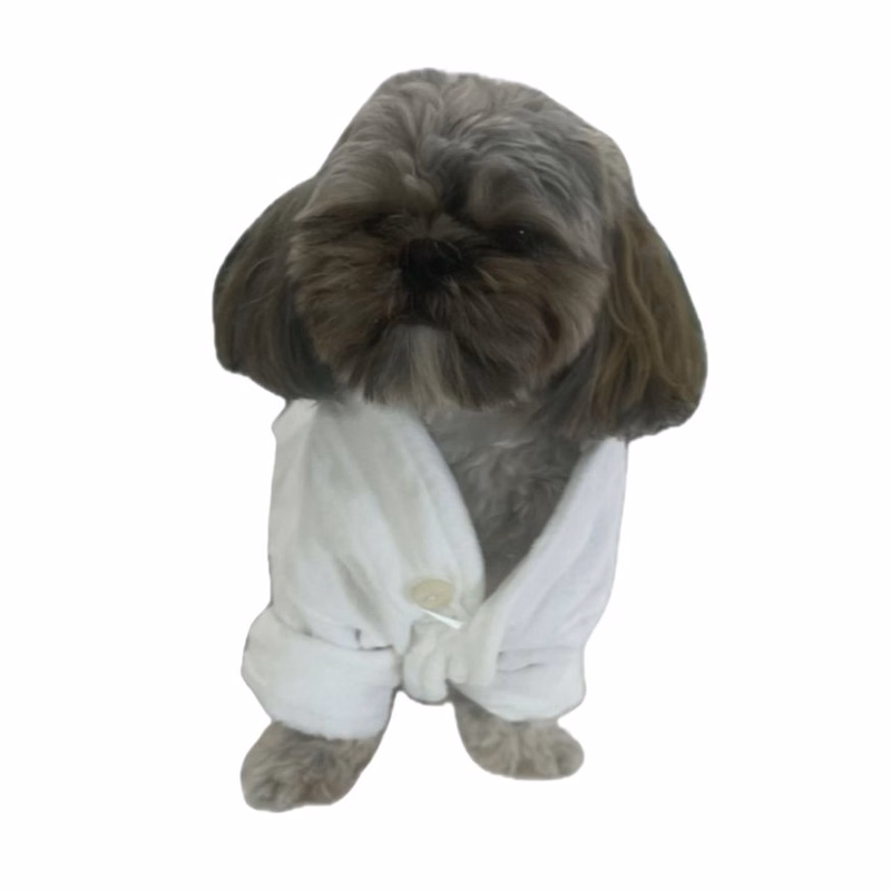 Dog Bathrobe