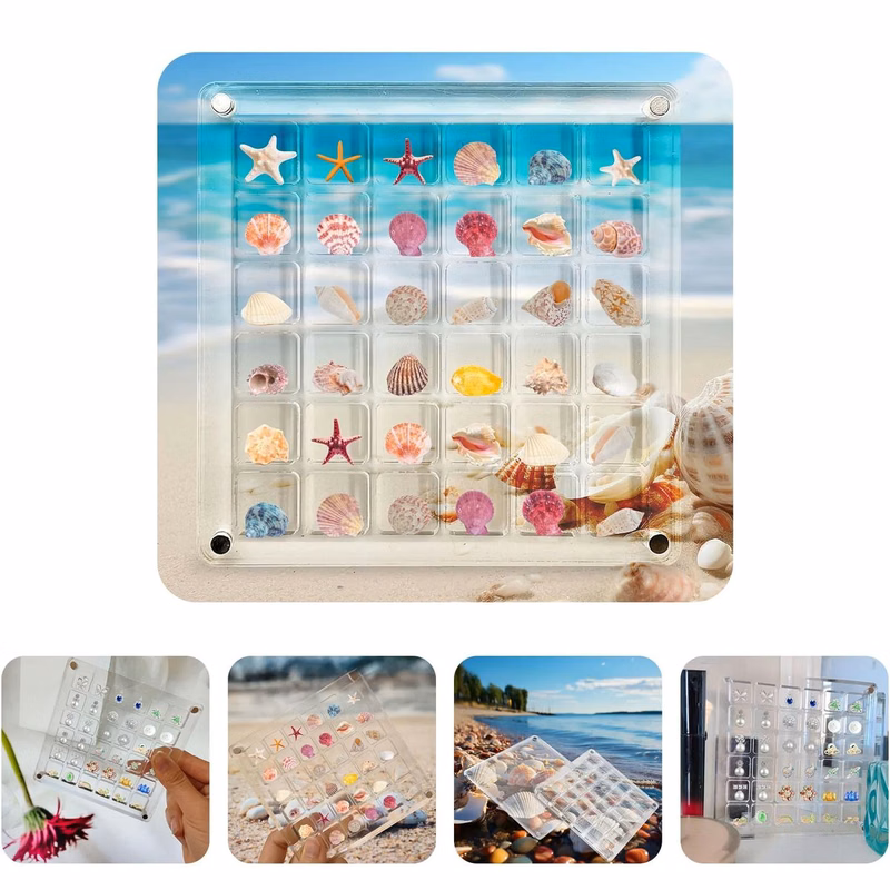 Acrylic Seashell Display Box